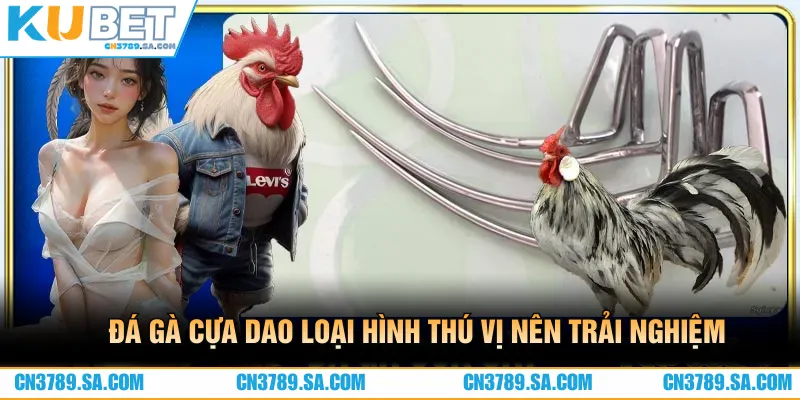 Cưa dao là hình thức đá gà hay nên trải nghiệm